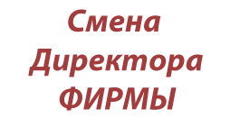 Перечень документов для смены генерального директора гражданина москвы в налоговой